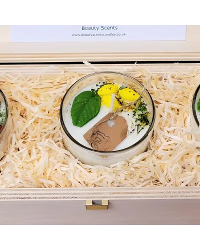 set da regalo di candele artigianali in cera di soia con profumazioni delicate, verbena