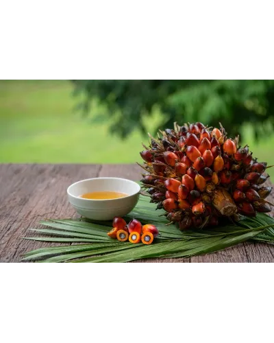 candele fatte a mano con cera vegetale