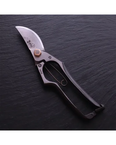 Professional Japanese Pruning Shears, A-Type Damascus Steel, Blue Paper
