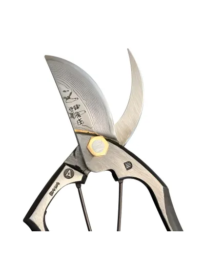Professional Japanese Pruning Shears, A-Type Damascus Steel, Blue Paper