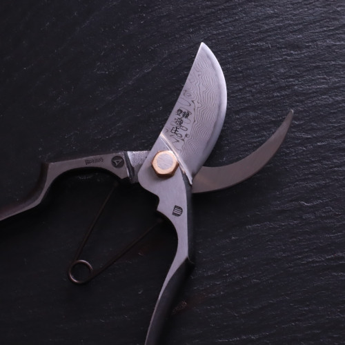 Professional Japanese Pruning Shears, A-Type Damascus Steel, Blue Paper