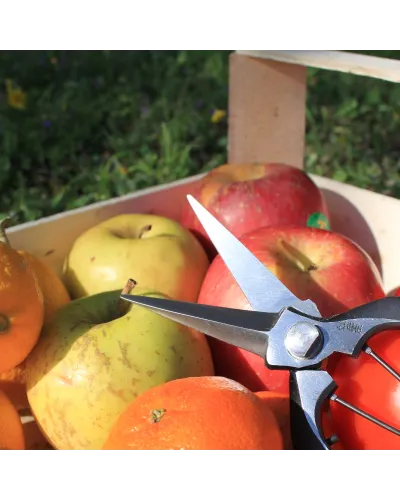 Forbici Professionali in acciaio giapponese per agricoltura, giardinaggio