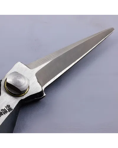 Forbici Professionali in acciaio giapponese per agricoltura, giardinaggio