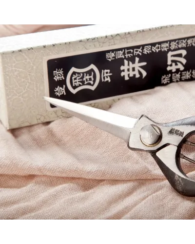 Forbici Professionali in acciaio giapponese per agricoltura, giardinaggio