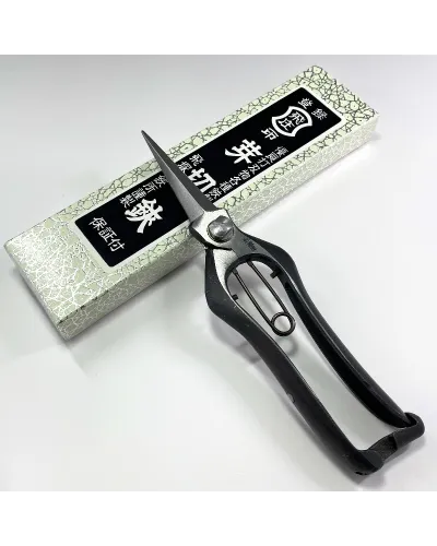 Forbici Giapponesi Professionali per cogliere uva e frutta