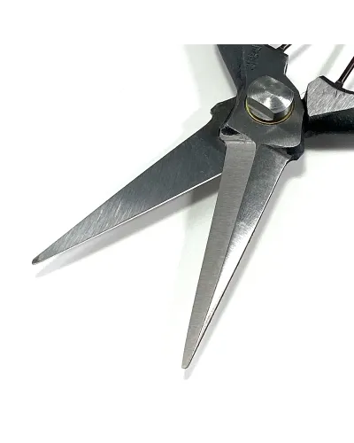 Forbici Giapponesi Professionali per cogliere uva e frutta