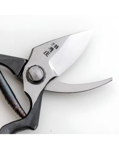 forbice da potatura professionale Tobisho Type