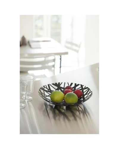 vassoio fruttiera in acciaio