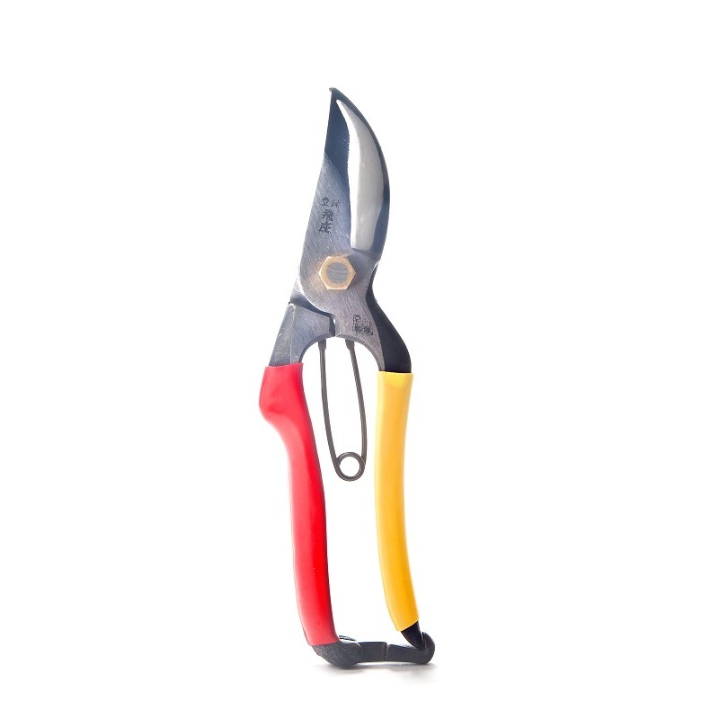 Forbici Giapponesi per Potatura Professionali