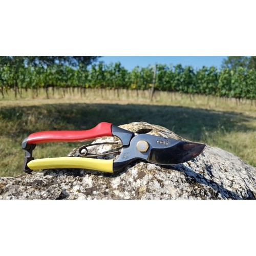 Forbici Giapponesi per Potatura Professionali