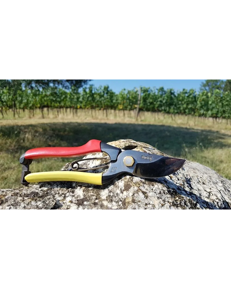 Bonplus BP | Cesoie Da Potatura Elettriche A Batteria | Troncarami - Foto 12