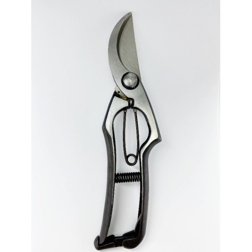 Professional scissors for pruning, agriculture, gardening