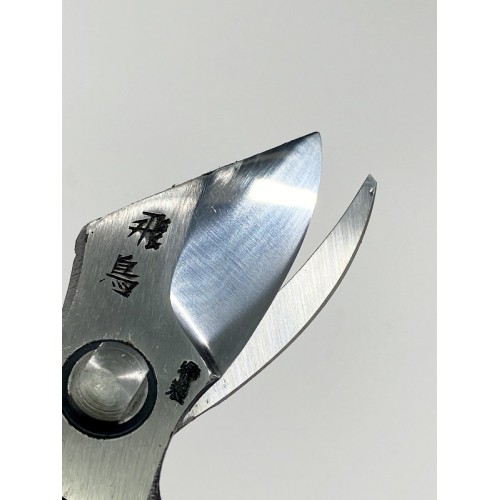 Forbici Giapponesi per Potatura Professionali