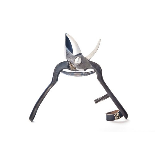 Forbici Giapponesi per Potatura Professionali