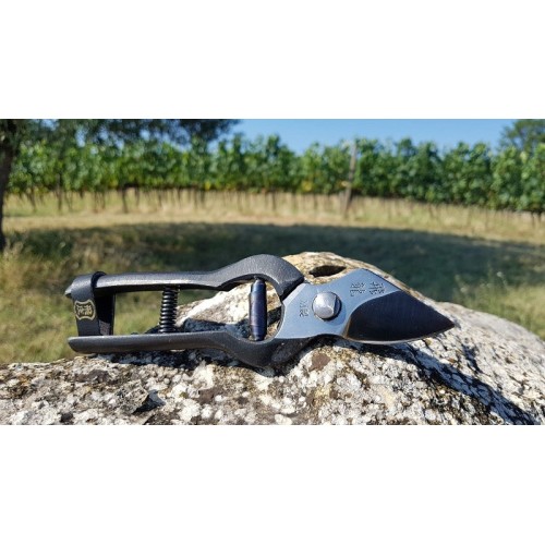 Forbici Giapponesi per Potatura Professionali