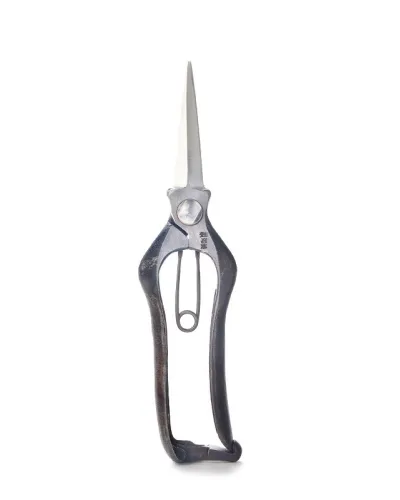 Forbici Giapponesi Professionali per cogliere uva e frutta