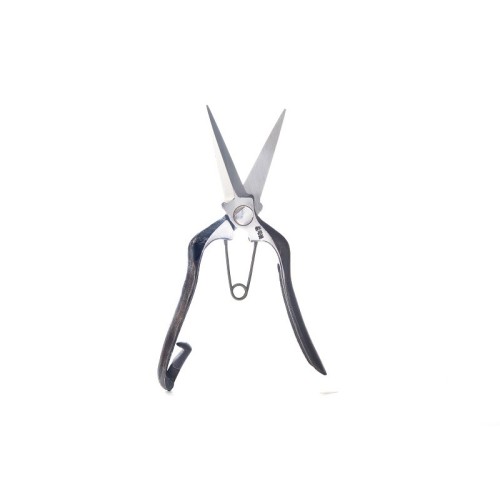 Professional scissors for pruning, picking, agriculture, gardening