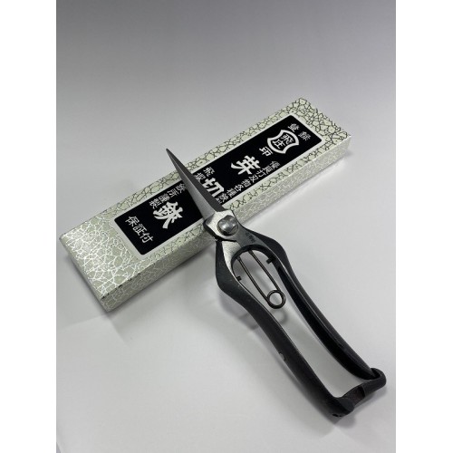 Professional Japanese steel scissors for picking, agriculture, gardening