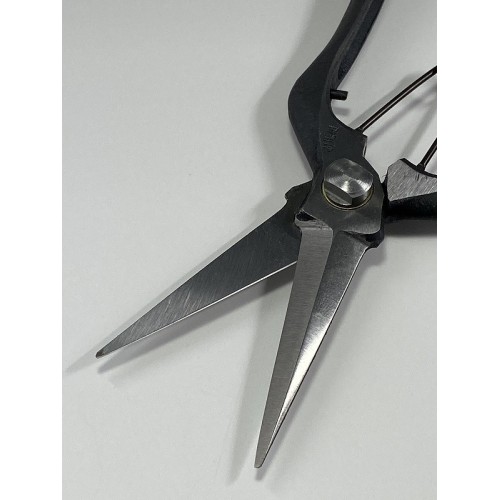 Professional scissors of Japanese craftsmanship for picking, agriculture, gardening
