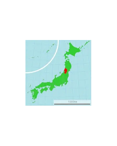 Japanese Professional Pruning Shears