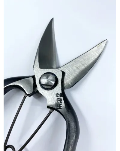 Japanese Professional Pruning Shears