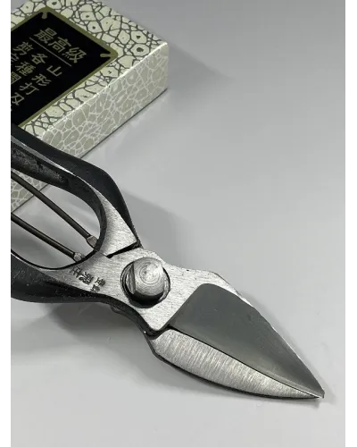 Japanese Professional Pruning Shears