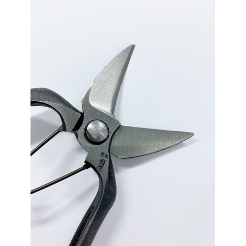 Forbici Giapponesi per Potatura Professionali
