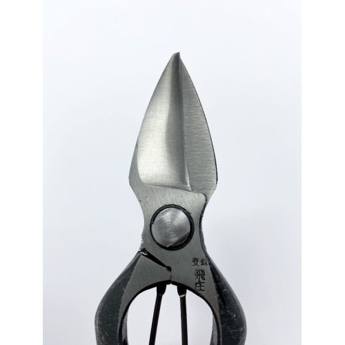 Professional Japanese steel scissors for pruning, agriculture, gardening