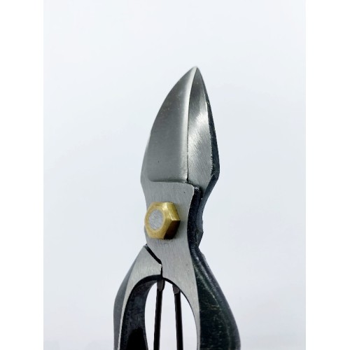 Forbici Giapponesi per Potatura Professionali