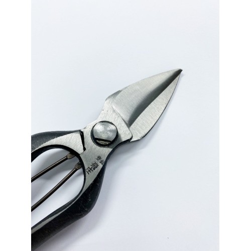 Forbici Giapponesi per Potatura Professionali