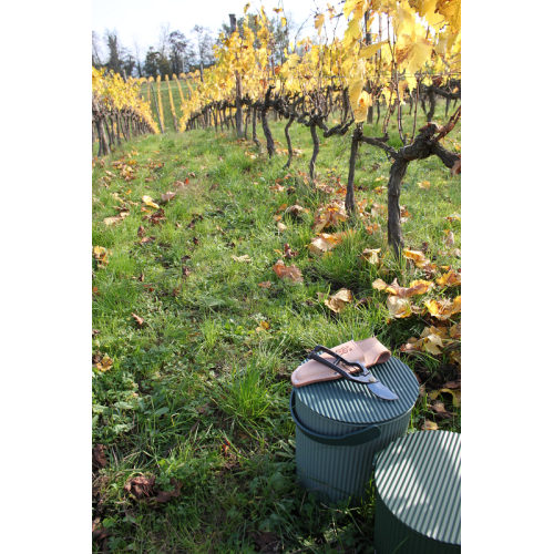 Forbici Giapponesi per Potatura Professionali