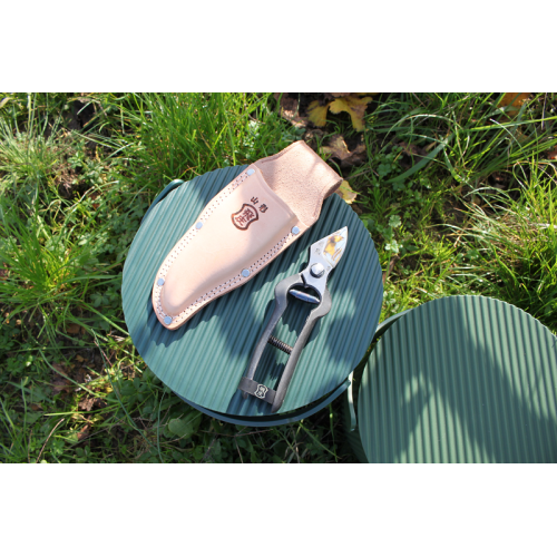 Forbici Giapponesi per Potatura Professionali