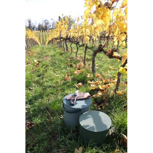Forbici Giapponesi per Potatura Professionali