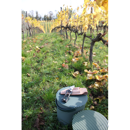 Forbici Giapponesi per Potatura Professionali