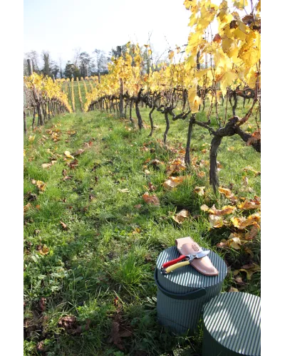 Japanese Professional Pruning Shears