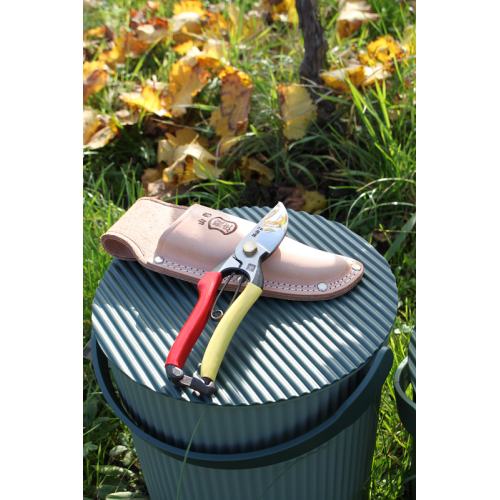 Forbici Giapponesi per Potatura Professionali