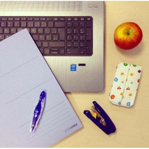 Expandable, Space-saving A4 Document Holder