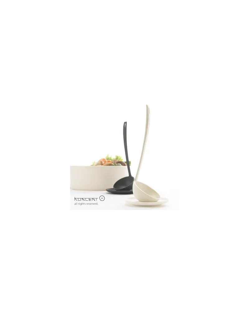 kitchen ladle without support