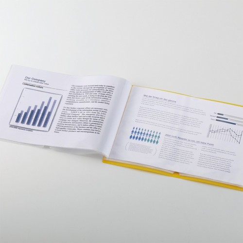 Transparent display book for 20 A4 sheets