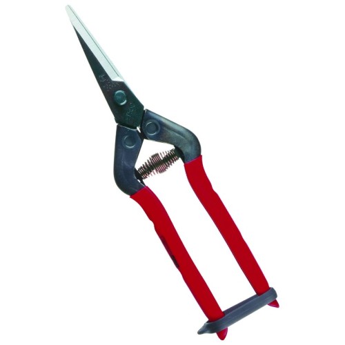 Professional scissors for picking fruit vegetables, flowers and plants