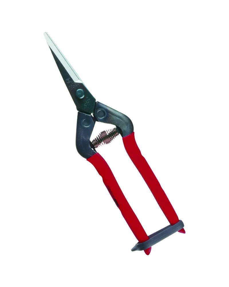 Professional scissors for picking fruit vegetables, flowers and plants