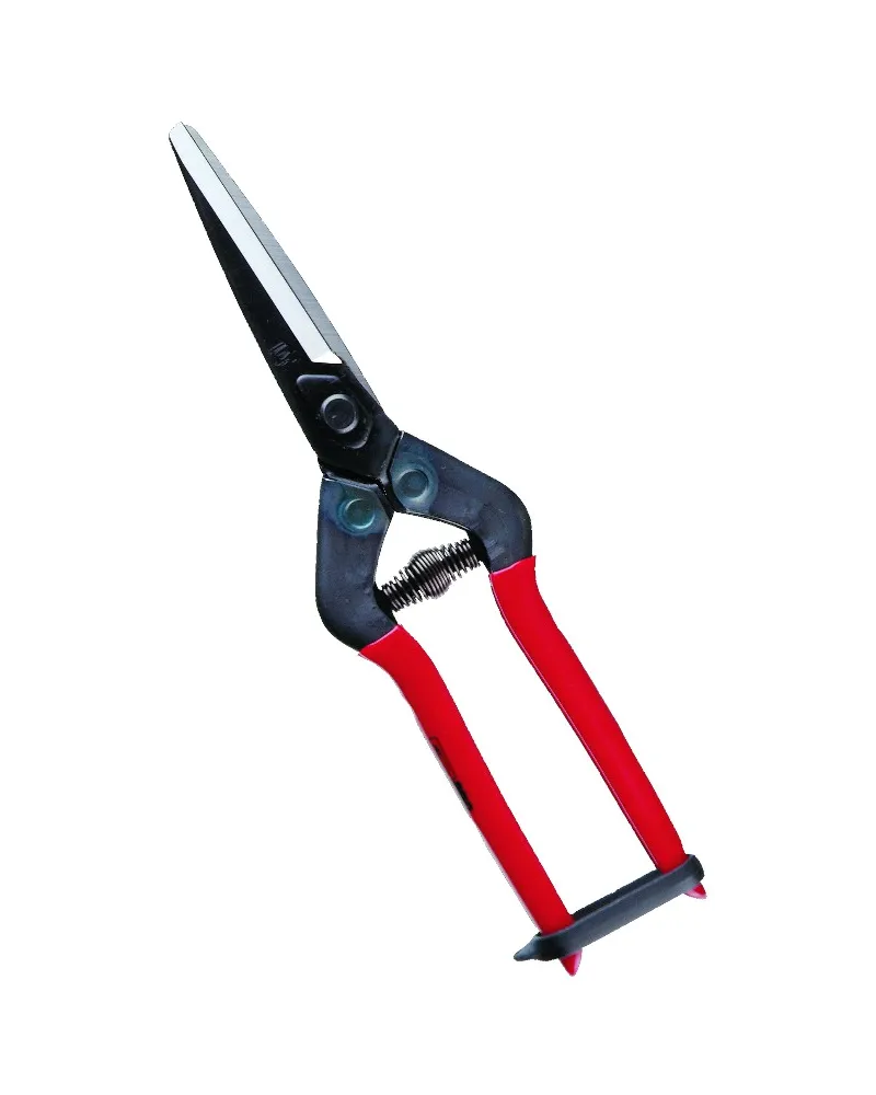 Professional long blade scissors for picking fruit vegetables, flowers and plants