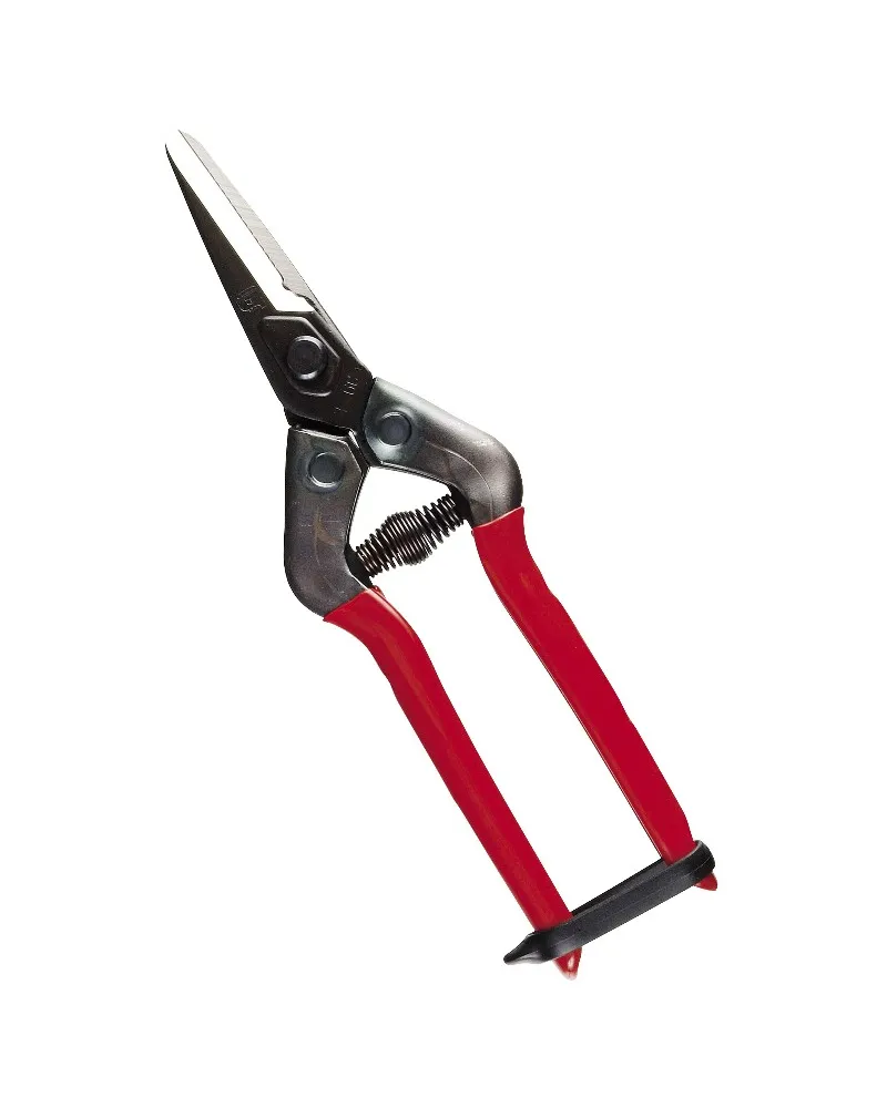 Japanese Professional scissors for picking fruit vegetables, flowers and plants