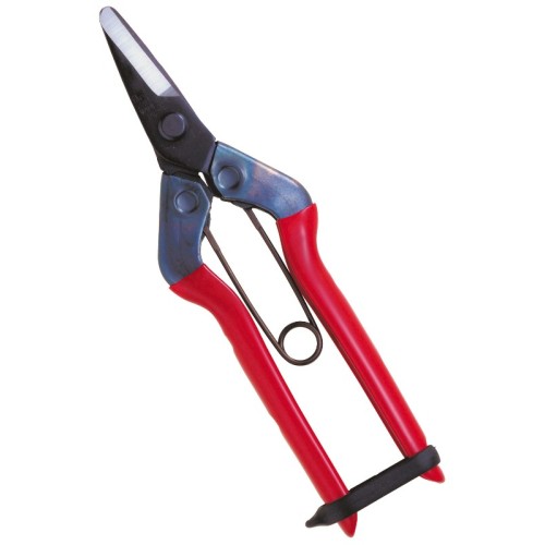 Professional scissors with long curved blade for picking fruit vegetables, flowers and plants