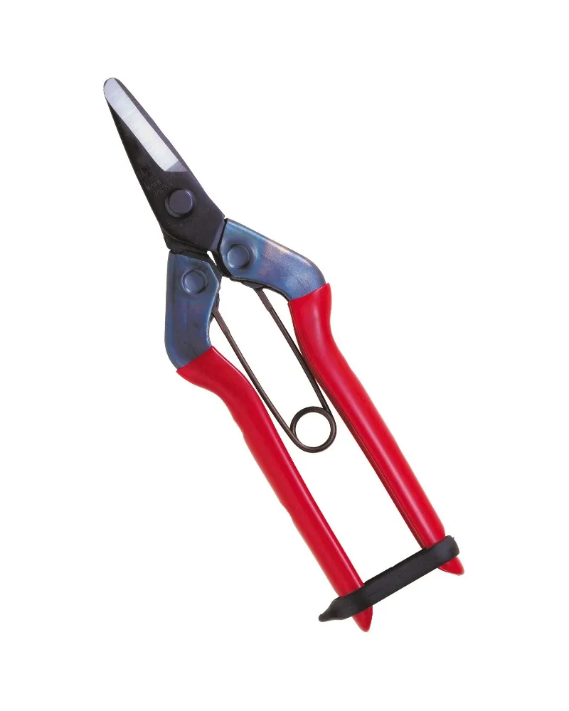 Professional scissors with long curved blade for picking fruit vegetables, flowers and plants