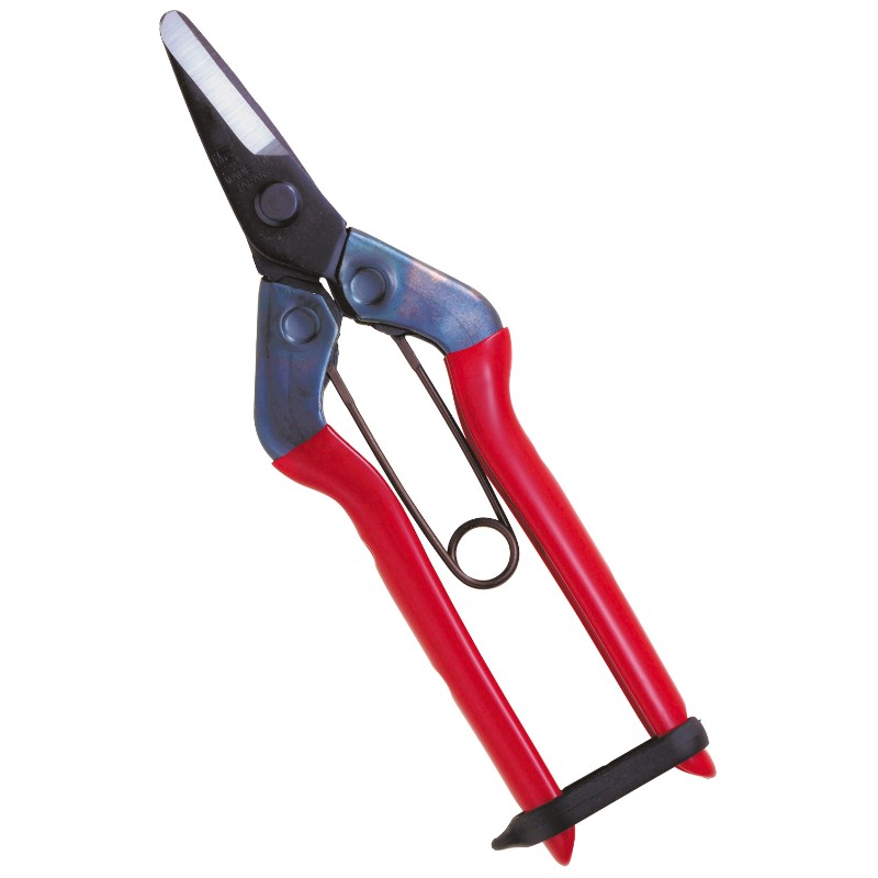 Professional scissors with long curved blade for picking fruit vegetables, flowers and plants