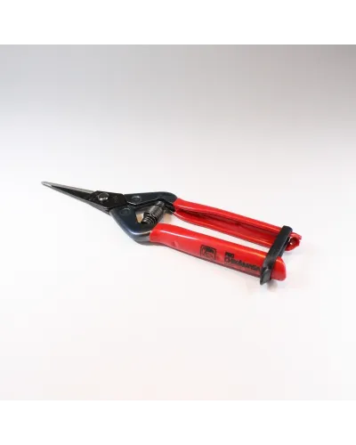 Professional scissors for picking fruit vegetables, flowers and plants