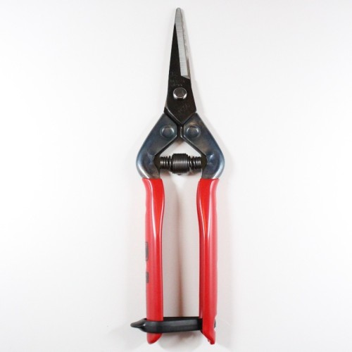 Professional scissors for picking fruit vegetables, flowers and plants