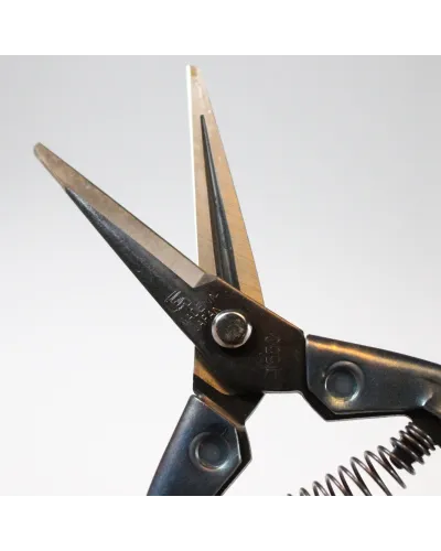 Professional scissors for picking fruit vegetables, flowers and plants