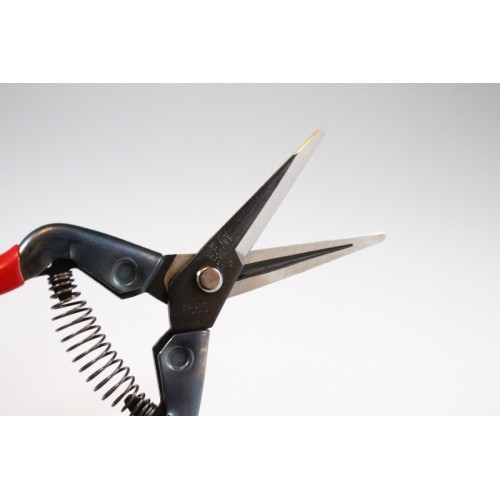 Professional fruit picking scissors with high quality Japanese carbon steel blade